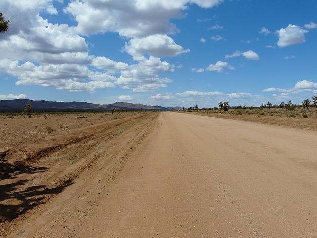 莫哈韦沙漠 约书亚树国家公园 路 - 上的免费照片