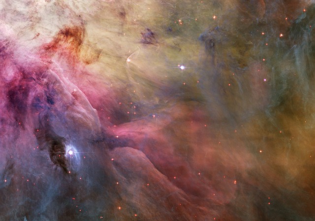 猎户座星云 发射雾 星座猎户座 - 上的免费照片