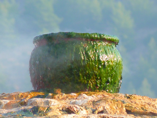 锅 釜 绿色 - 上的免费照片