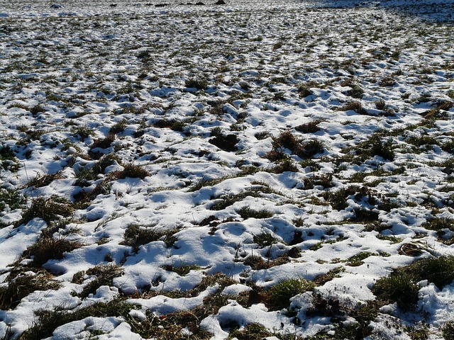 草地 场地 被雪覆盖 - 上的免费照片