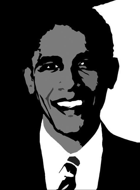 巴拉克奥巴马 总统 团结的 - 上的免费图片