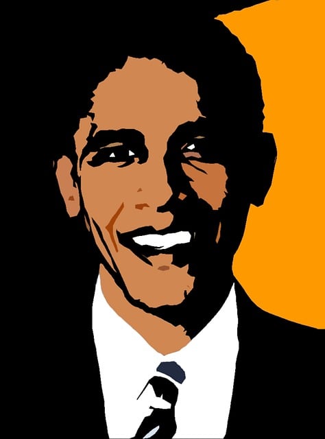 巴拉克奥巴马 总统 团结的 - 上的免费图片