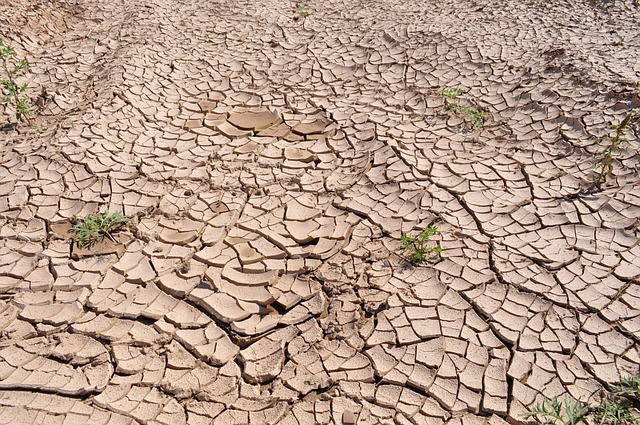 干旱 破裂的地球 干土 - 上的免费照片