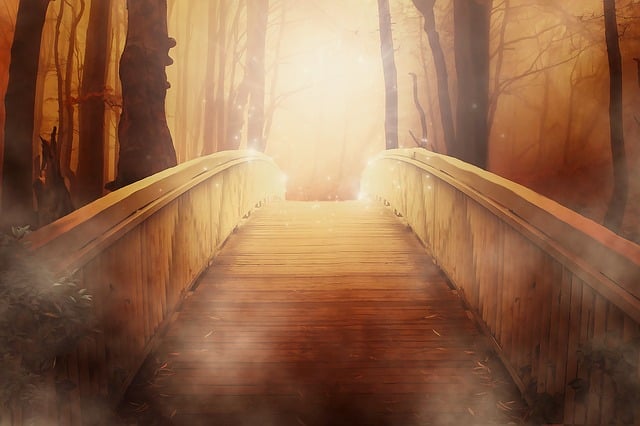 桥 森林 幻想 - 上的免费图片