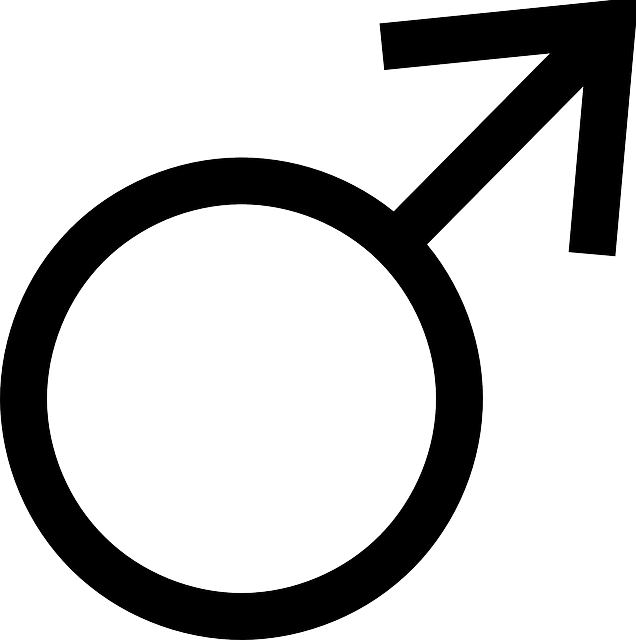 性别 符号 男性 - 免费矢量图形