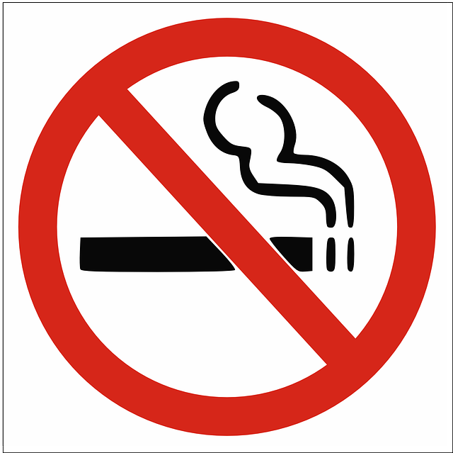 禁止吸烟 标识 符号 - 免费矢量图形