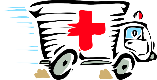 救护车 护理人员 红色的 - 免费矢量图形
