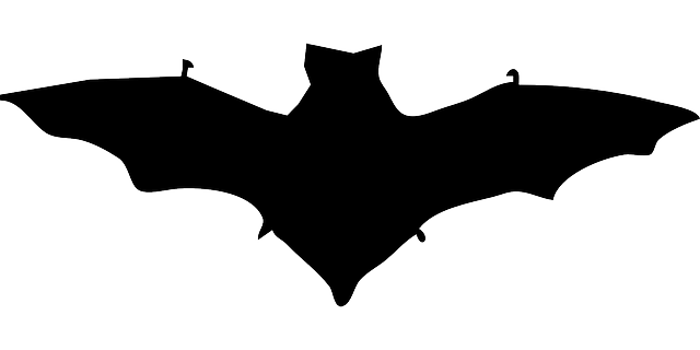 蝙蝠 德古拉 轮廓 - 免费矢量图形