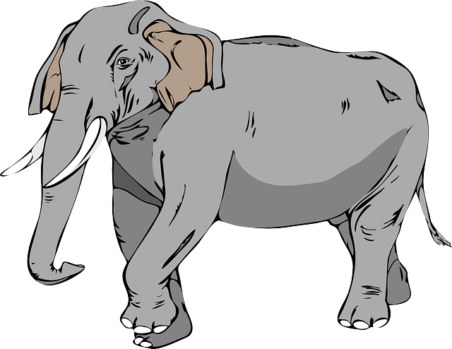 大象 大的 动物 - 免费矢量图形
