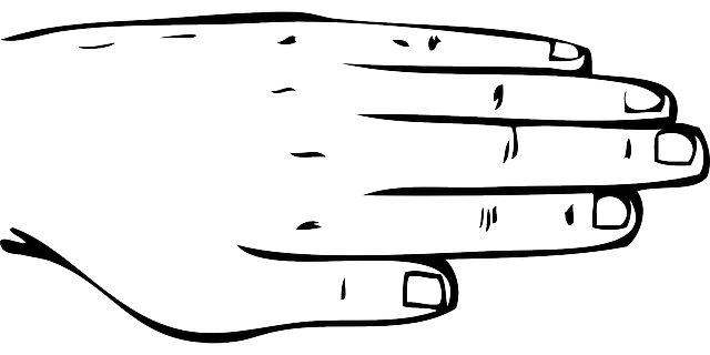 手 背部 部分 - 免费矢量图形