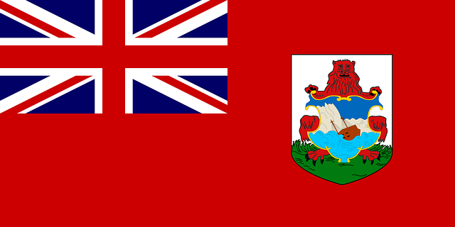 百慕大 旗帜 官方的 - 免费矢量图形