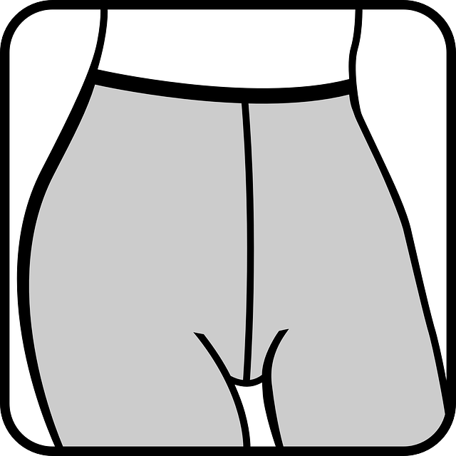 连裤袜 衣服 女性 - 免费矢量图形