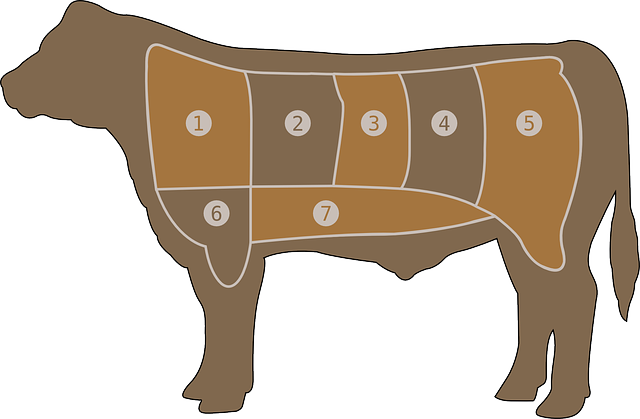 肉类图表 牛肉 屠夫 - 免费矢量图形