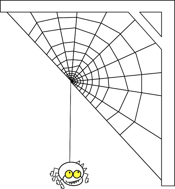 蜘蛛网 蛛网 蛛形纲动物 - 免费矢量图形