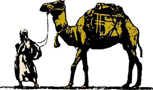 骆驼 骆驼的驱动程序 动物 - 免费矢量图形