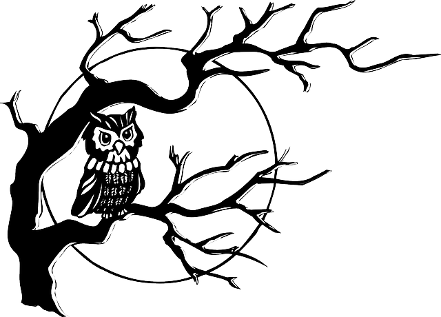 猫头鹰 夜间出没的鸟 猛禽 - 免费矢量图形