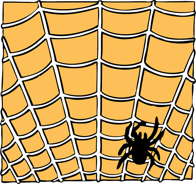 蜘蛛网 蜘蛛 橙色的 - 免费矢量图形
