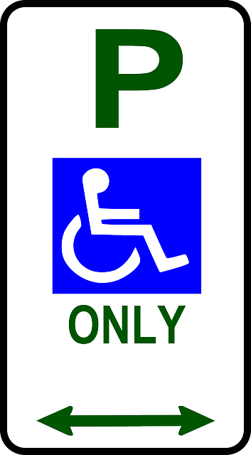 仅限残障人士 停车处 失能 - 免费矢量图形