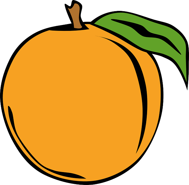 橙色的 水果 食用 - 免费矢量图形