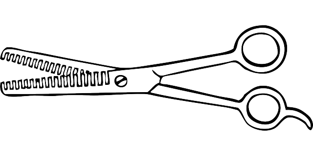 变薄 剪 刀刃 - 免费矢量图形