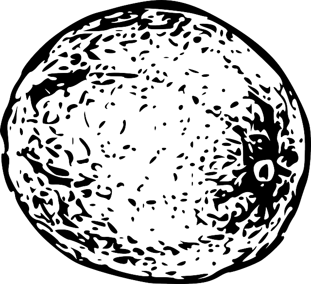 哈密瓜 梅隆 水果 - 免费矢量图形