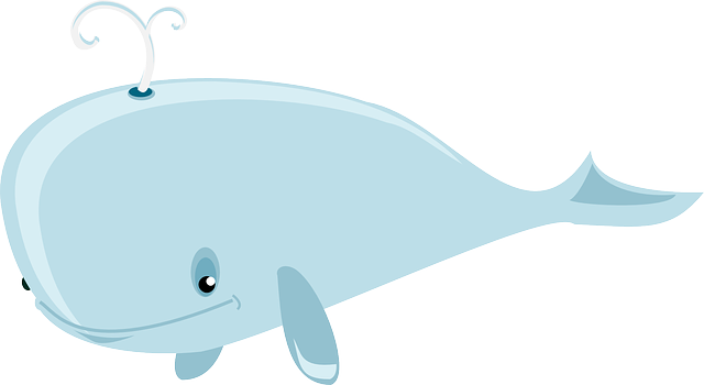 鲸 座头鲸 气孔 - 免费矢量图形