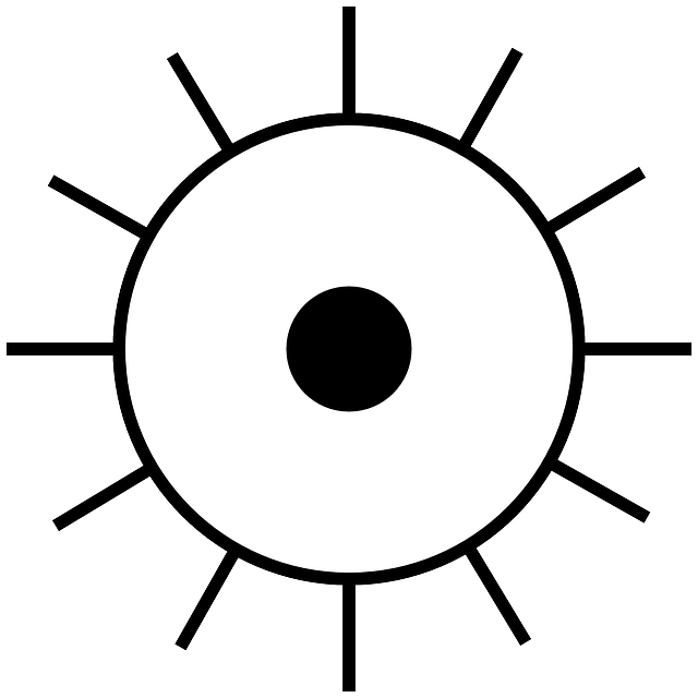 太阳 白色的 射线 - 免费矢量图形