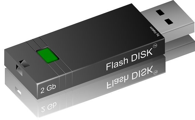 闪存驱动器 Usb 记忆 - 免费矢量图形