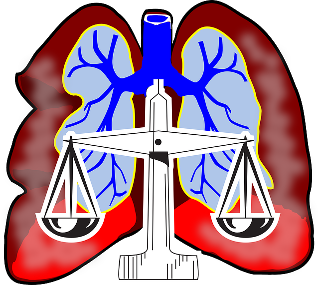 肺 图表 空气 - 免费矢量图形