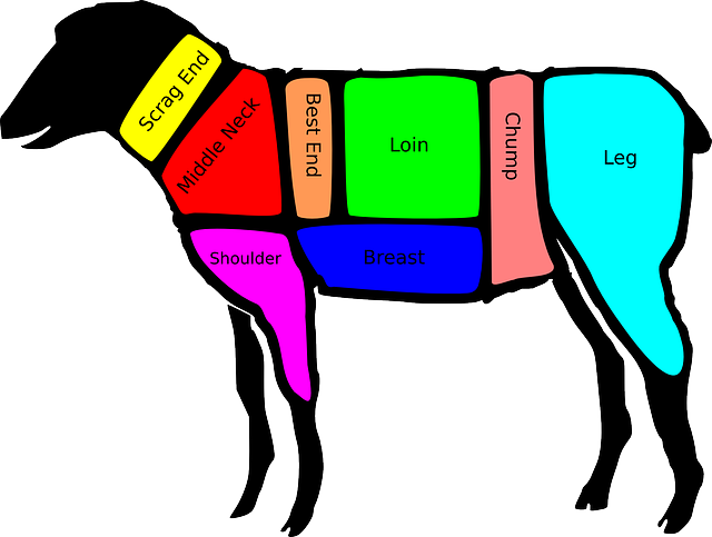 羊 羊肉 图表 - 免费矢量图形