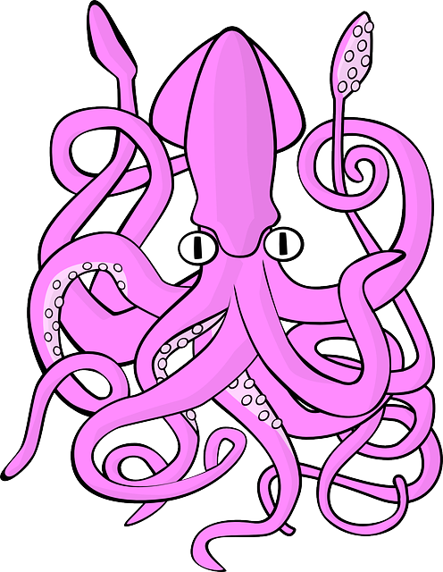 乌贼 章鱼 动物 - 免费矢量图形