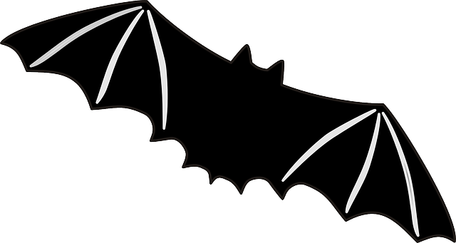蝙蝠 飞行 翅膀 - 免费矢量图形
