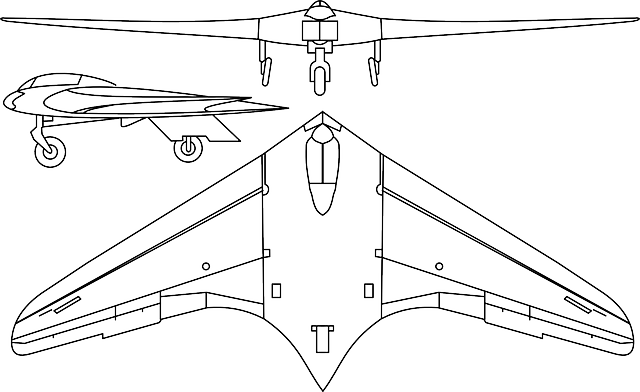隐形战斗机 三角翼 隐形轰炸机 - 免费矢量图形