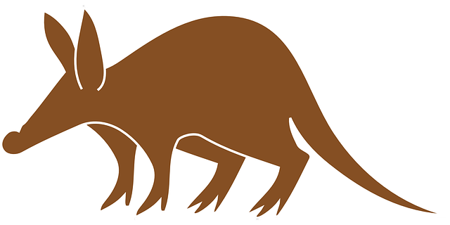动物 土豚 尾巴 - 免费矢量图形
