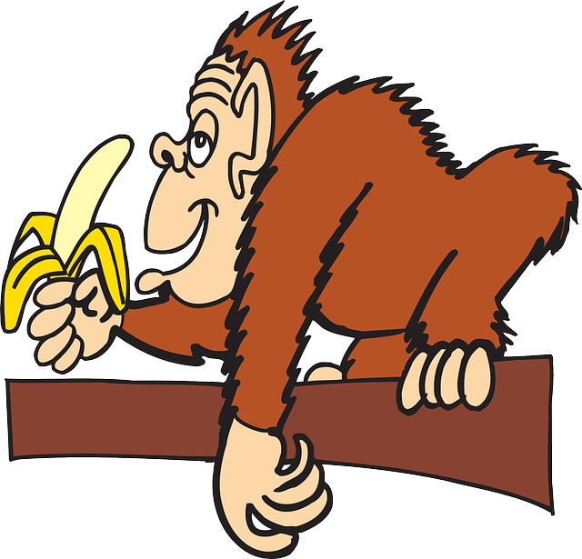 猿 枝杈 香蕉 - 免费矢量图形