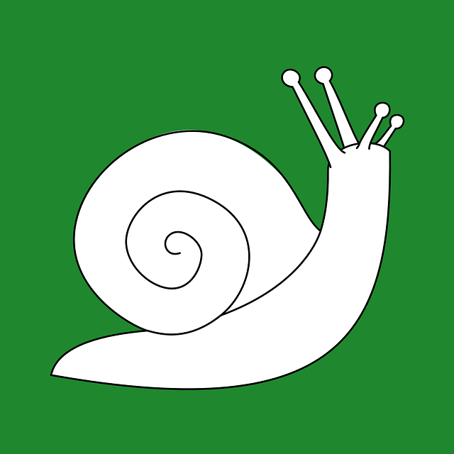 蜗牛 腹足类动物 Univalve - 免费矢量图形