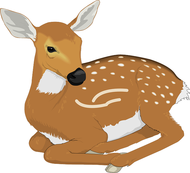 鹿 动物 哺乳动物 - 免费矢量图形