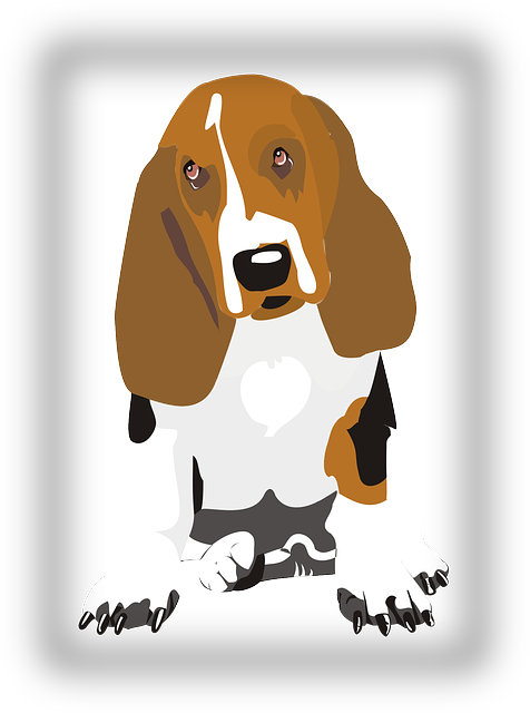 狗 比格犬 宠物 - 免费矢量图形