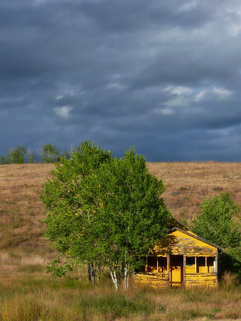 黄色 木棚 建造 - 上的免费照片
