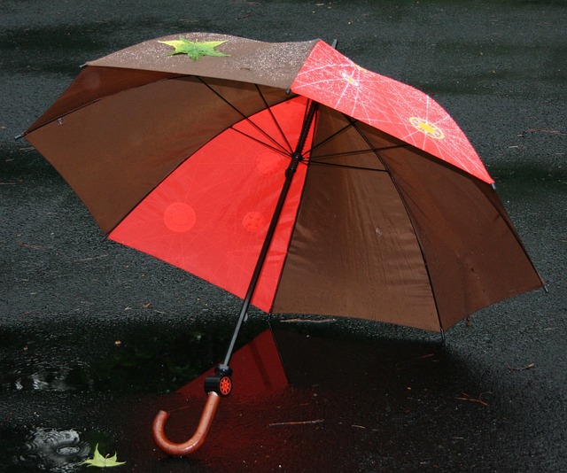雨伞 雨 保护 - 上的免费照片