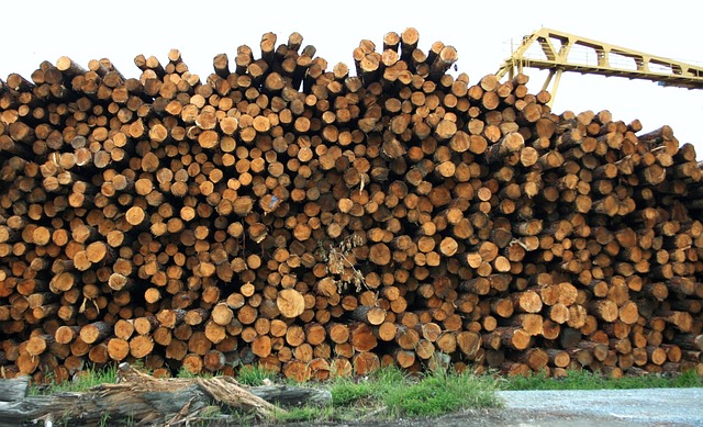 木材 树干 木头 - 上的免费照片