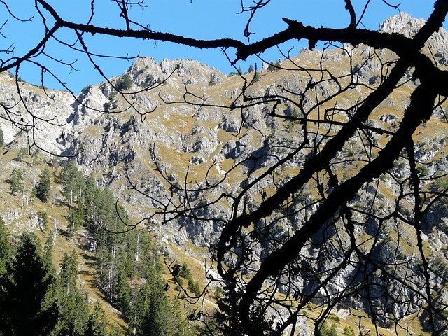 山 阿尔卑斯山 阿尔高 - 上的免费照片