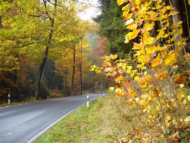 路 交通 Kirnitzschtal - 上的免费照片