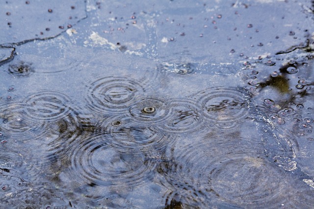 雨 雨滴 干扰 - 上的免费照片