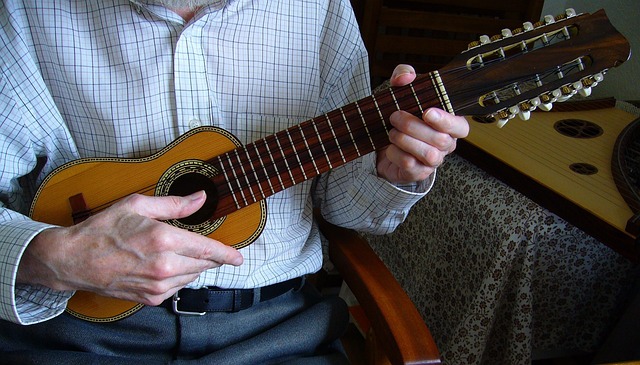 Charango 安第斯 弦乐器 仪器 - 上的免费照片