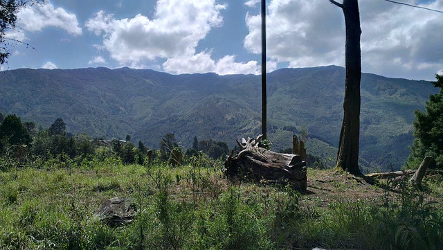 征服者的 Envigado 山 安蒂奥基亚 - 上的免费照片