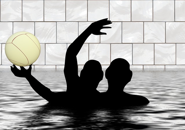水球 水池 球 - 上的免费图片