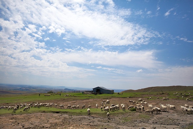 莱索托 非洲 景观 - 上的免费照片