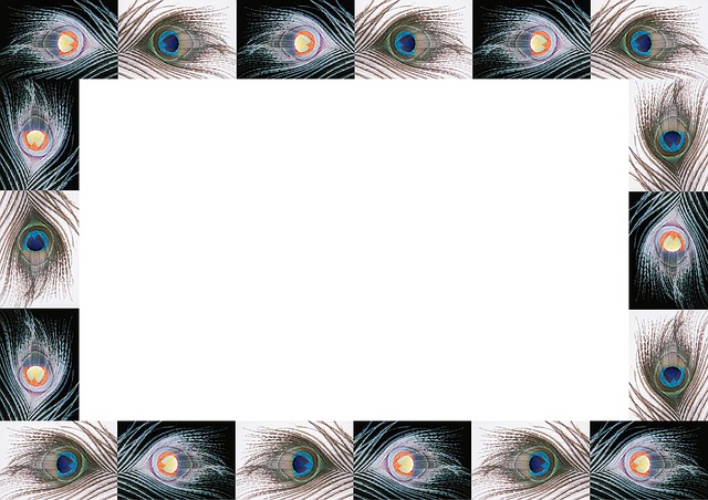 孔雀羽毛 模板 眼睛 - 上的免费图片