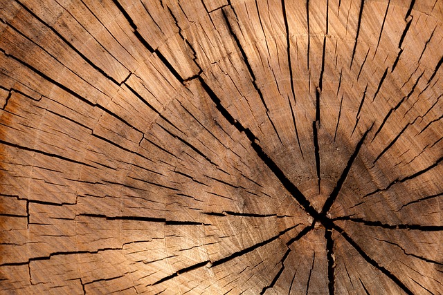 木材 日志 木头 - 上的免费照片